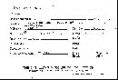 Fuscoporia senex image