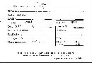 Corticium simulans image