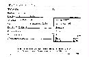 Elaphomyces asperulus image