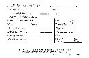 Elaphomyces granulatus image