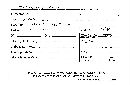 Elaphomyces granulatus image