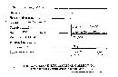 Ceraceomyces serpens image