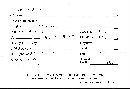 Phellinus gilvus image