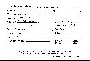Phellinus gilvus image