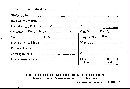 Bjerkandera adusta image