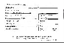 Scleroderma flavidum image