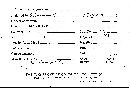 Scleroderma polyrhizum image