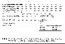 Scleroderma polyrhizum image