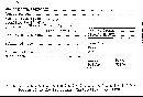 Scleroderma flavidum image