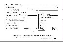 Polyporus brumalis image