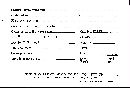 Scleroderma tenerum image