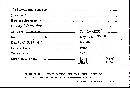 Scleroderma tenerum image