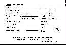 Scleroderma tenerum image