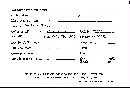 Scleroderma tenerum image