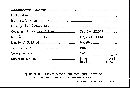 Scleroderma tenerum image