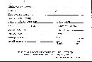 Scleroderma tenerum image