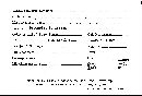 Scleroderma tenerum image