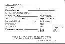 Scleroderma tenerum image