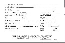 Scleroderma tenerum image