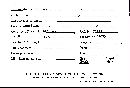 Scleroderma tenerum image