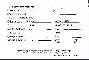 Scleroderma tenerum image