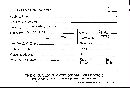 Scleroderma tenerum image