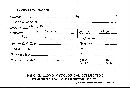 Scleroderma tenerum image