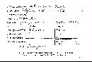 Amauroderma preussii image