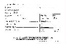 Lycoperdon umbrinum image