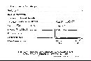 Arachnion scleroderma image