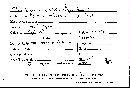 Steccherinum ochraceum image