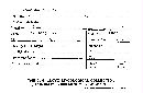 Lycoperdon wrightii image