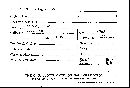 Hyphoderma setigerum image