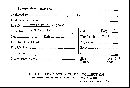 Lycoperdon gemmatum image