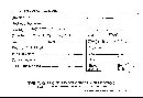 Lycoperdon gemmatum image