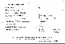 Cerrena unicolor image