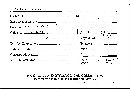 Bovista plumbea image