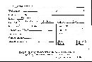 Amauroderma conicum image