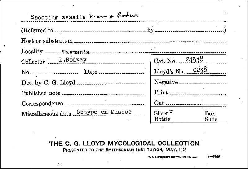 Cystangium sessile image