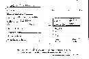 Scleroderma flavidum image