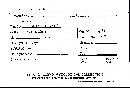 Scleroderma flavidum image