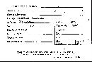 Scleroderma flavidum image