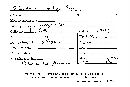 Scleroderma flavidum image