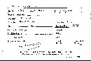 Scleroderma flavidum image