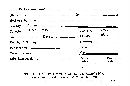 Phallus indusiatus image