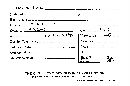 Mutinus elegans image