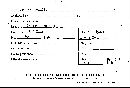 Polyporus brumalis image