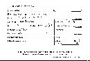 Polyporus brumalis image