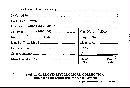 Disciseda candida image