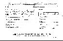 Tremellodon gelatinosum image